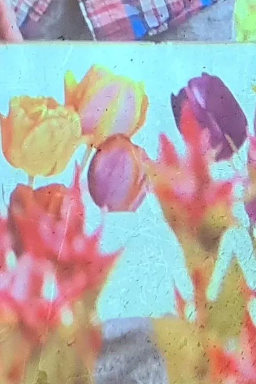 Ben Coonley interpreta a  en jolies fleurs une vie meilleure