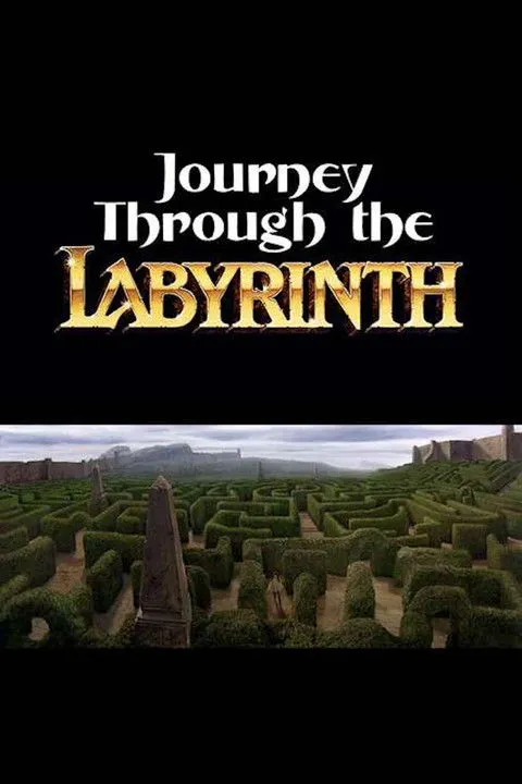 Póster de Journey Through the Labyrinth