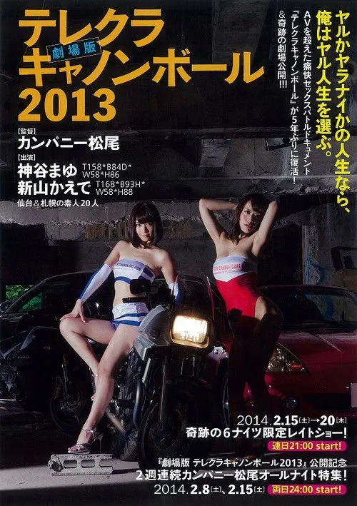 Póster de The Sex Cannon Ball Run 2013