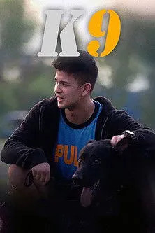 Póster de K9