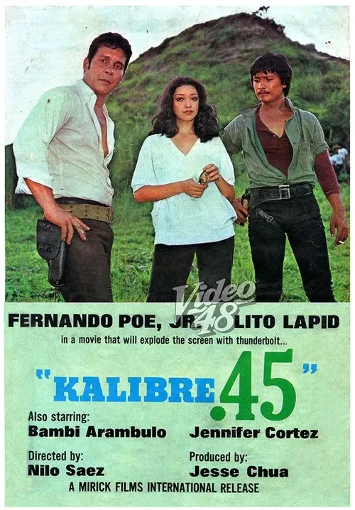 Póster de la película Kalibre .45