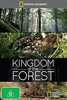 Póster de la película Kingdom of the Forest