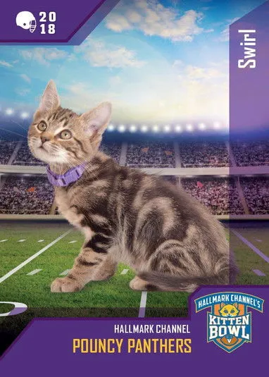 Beth Stern interpreta a en Kitten Bowl VIII Special