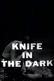 Portada de Knife in the Dark