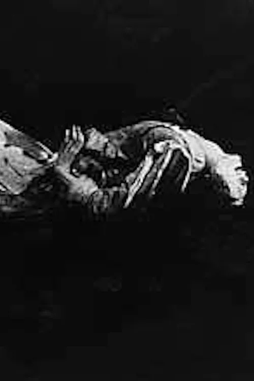 Katherine Crockett interpreta a en Knucklebones: Self-Sustaining Members of the Human Species