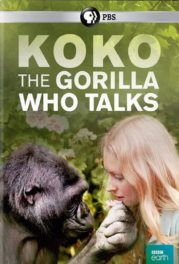 Koko interpreta a Self en Koko: The Gorilla Who Talks to People