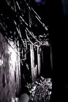 Otto Clemens interpreta a Narrator en Kowloon - The Walled City