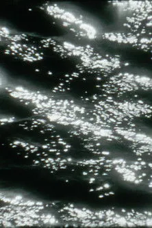 Amy Halpern interpreta a Herself en Kristallnacht