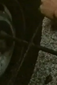 Boris Mihalj interpreta a en Krivda