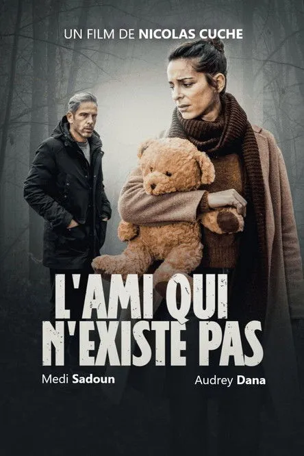 Póster de L'Ami qui n'existe pas