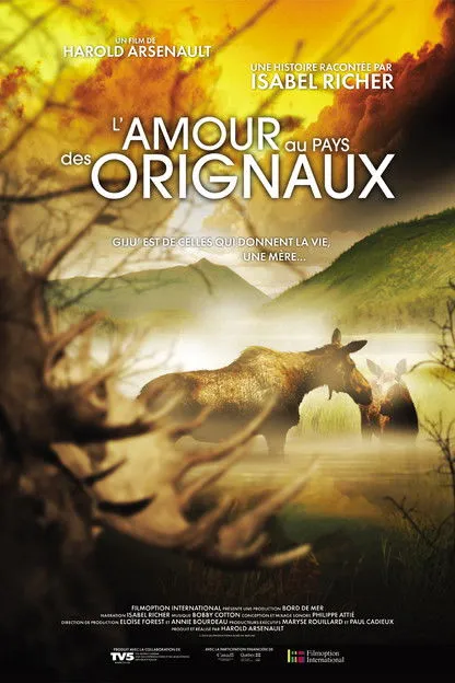Póster de la película L'amour au pays des orignaux