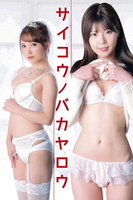 Póster de la película La Belleza y el Idiota