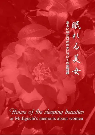 Póster de La casa de las bellas durmientes