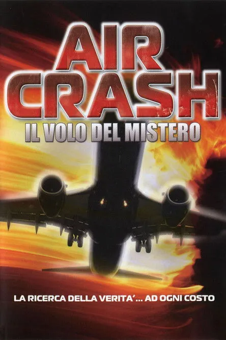 Póster de La catástrofe del vuelo 323