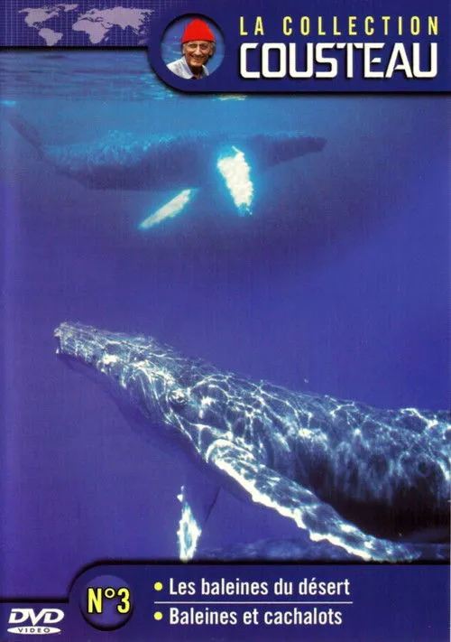 Jacques-Yves Cousteau interpreta a Self en La collection Cousteau N°3 | Les baleines du désert | Baleines et cachalots