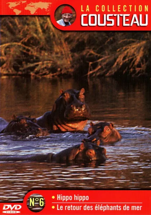 Jacques-Yves Cousteau interpreta a Self en La collection Cousteau N°6 | Hippo, Hippo | Le retour des éléphants de mer