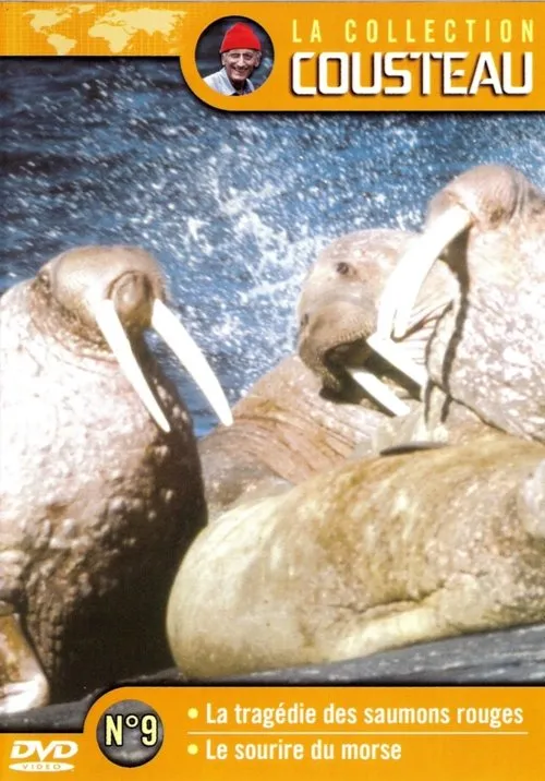 Philippe Cousteau interpreta a Self en La collection Cousteau N°9 | La tragédie des saumons rouges | Le sourire du Morse