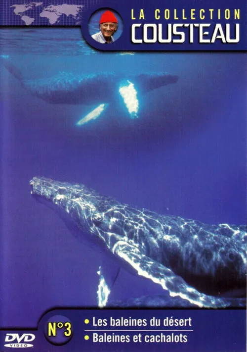 Philippe Cousteau interpreta a Self en La collection Cousteau N°3 | Les baleines du désert | Baleines et cachalots