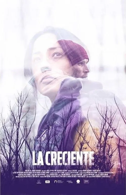 Póster de La creciente