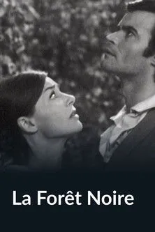 Póster de la película La forêt noire