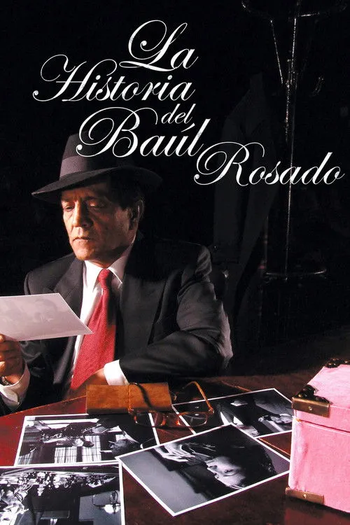 Póster de La historia del baúl rosado