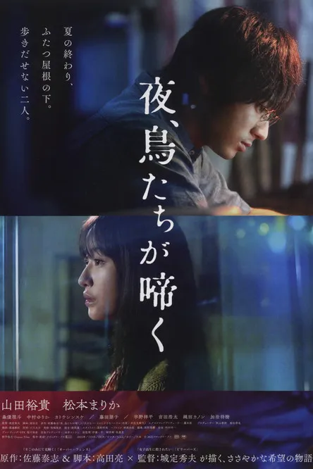 Póster de La noche en que lloran los pájaros