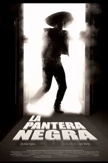 Póster de La pantera negra
