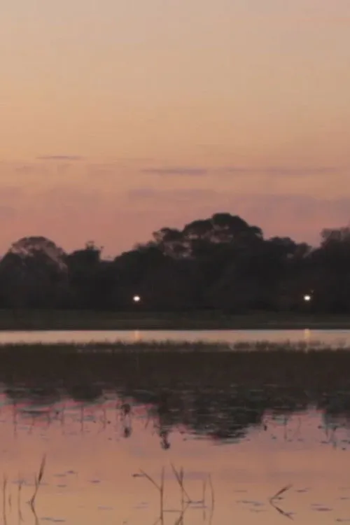 Clarisa Navas interpreta a Mujer Maravilla en La patria de todos los tarros de colores