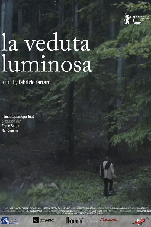 Póster de La veduta luminosa