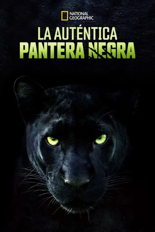 Portada de La Verdadera Pantera Negra