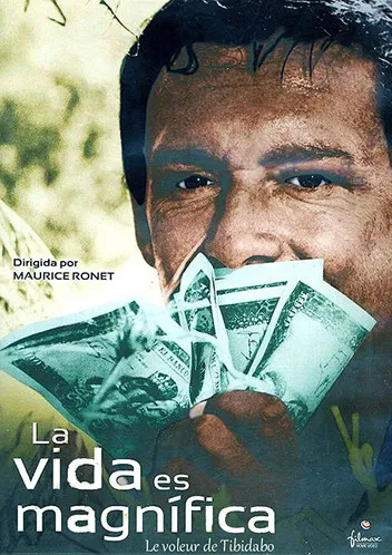 Póster de la película La vida es magnífica