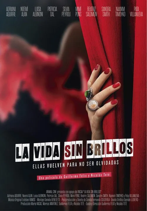 Póster de La vida sin brillos