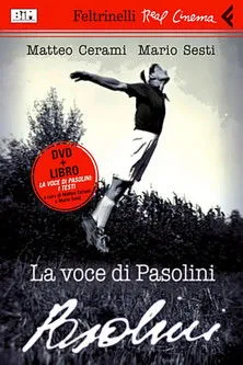 Póster de la película La voce di Pasolini