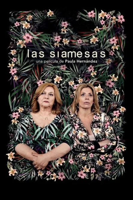 Póster de Las siamesas