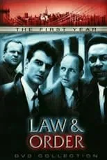 Portada de Law & Order: The First 3 Years