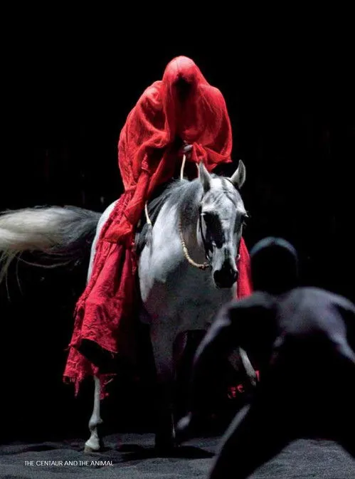 Póster de Le centaure et l'animal