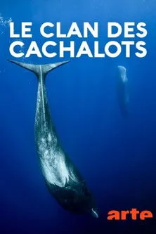 Hyppo Audouy interpreta a Narrator en Le clan des cachalots