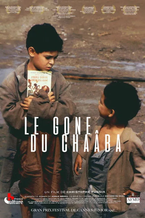 Póster de Le Gone du Chaâba