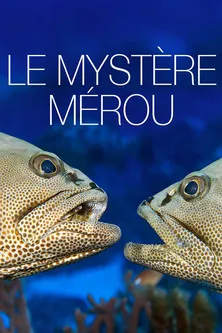 Póster de la película Le Mystère Mérou