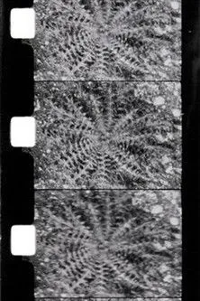 Martine Rivière interpreta a en Le printemps