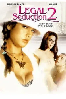 Póster de Legal Seduction 2