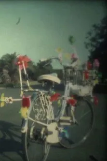 Póster de la película Raigyo: Swan