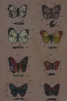 Wieslaw Michnikowski interpreta a Nauczyciel en Lekcja anatomii