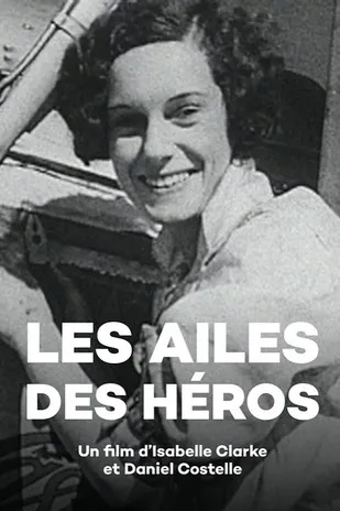 Póster de Les Ailes des héros