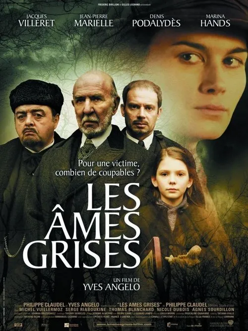 Póster de Les Âmes grises