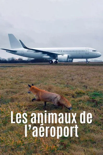 Samuel Charle interpreta a  en Les animaux de l’aéroport