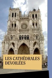 Póster de Les Cathédrales dévoilées