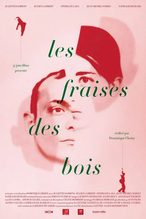 Póster de Les fraises des bois