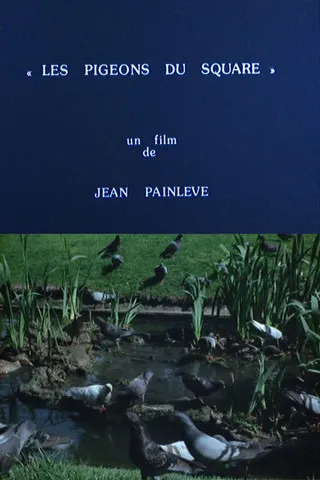 Jean Painlevé interpreta a Self (uncredited) en Les pigeons du square