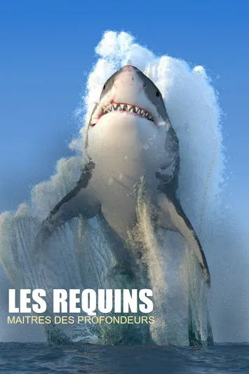 Steve Backshall interpreta a  en Les requins, maîtres des profondeurs